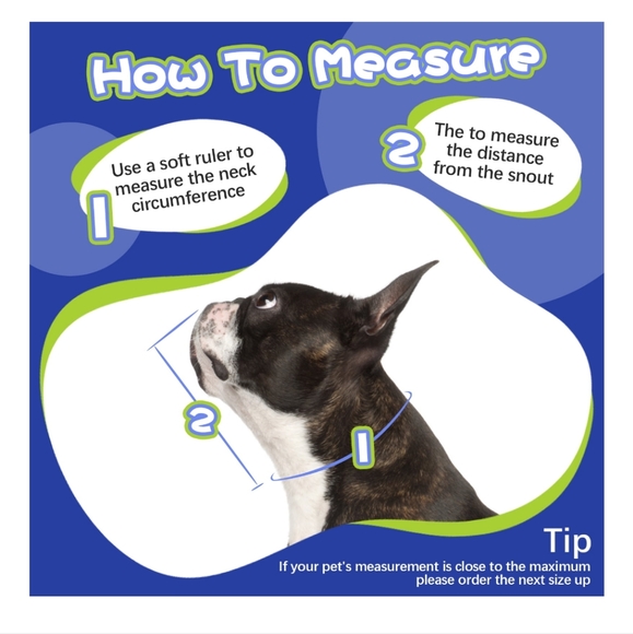 Kuoser Soft Dog Recovery Cone - Picture 4 of 15